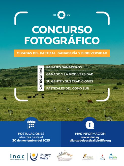 INAC_Concurso_KV_v3